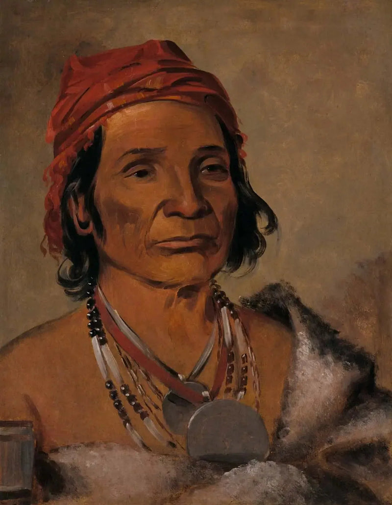 Deep Lake, un gammel chef - George Catlin