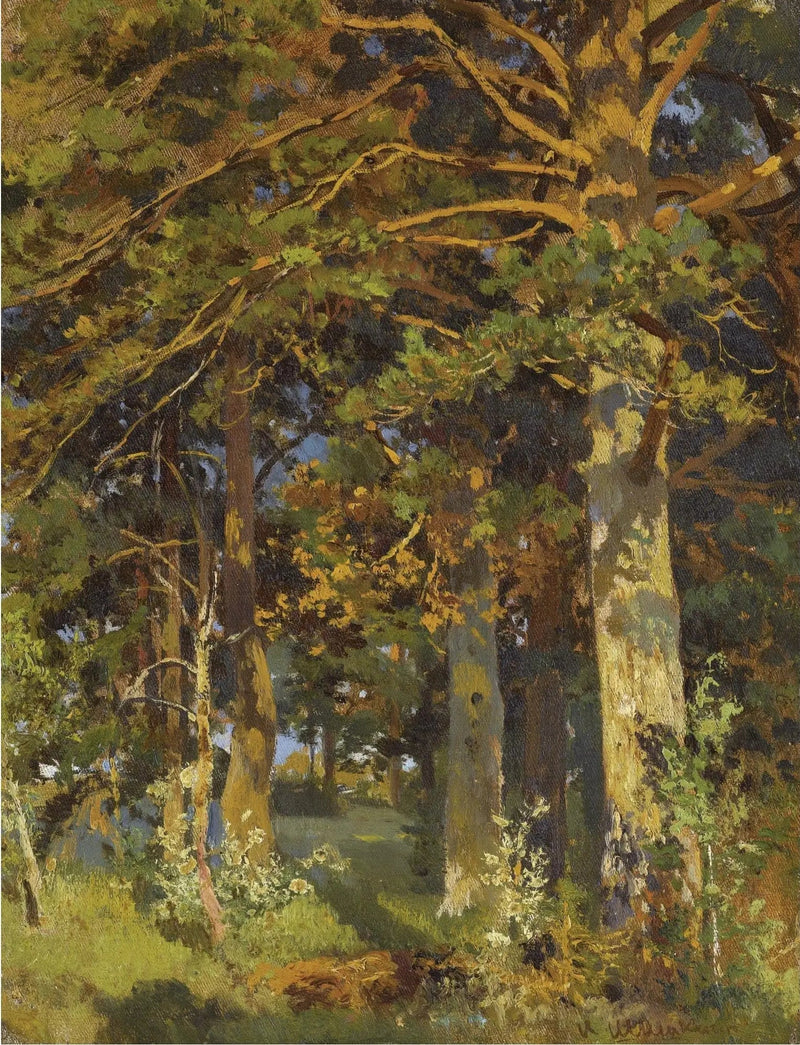 Skovrydning - Ivan Chichkine