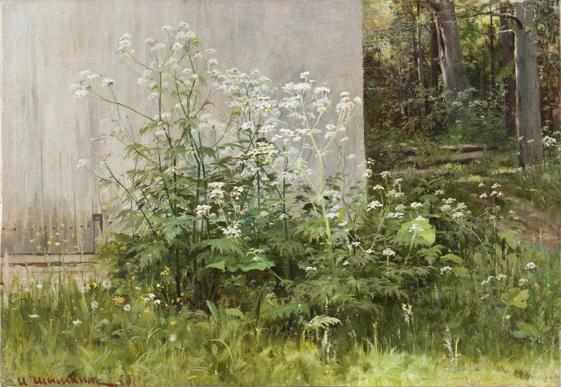 Blomster ved hegnet - Ivan Chichkine