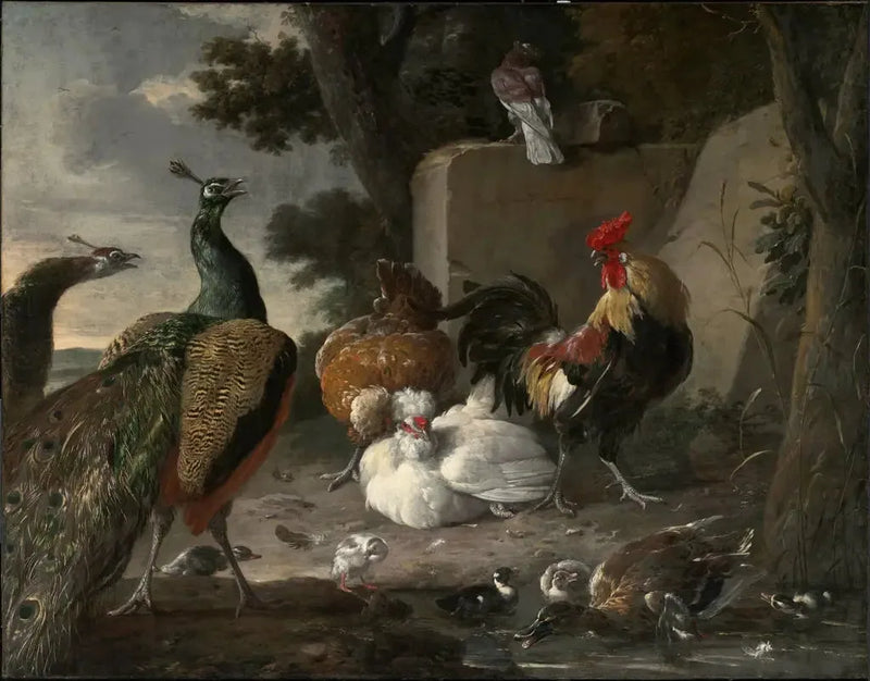 En påfugl sammen med hønsene i en gård - Melchior de Hondecoeter