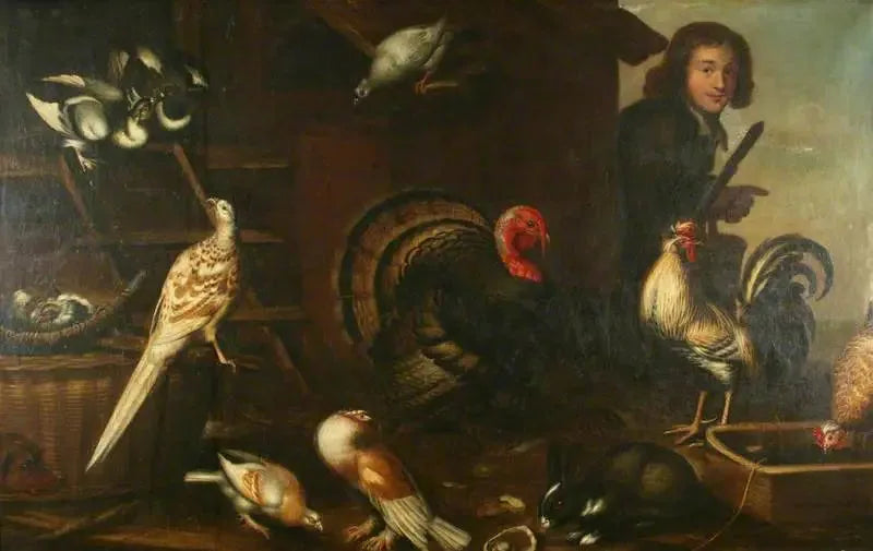 En domestik fjerkræ og en mand - Melchior de Hondecoeter