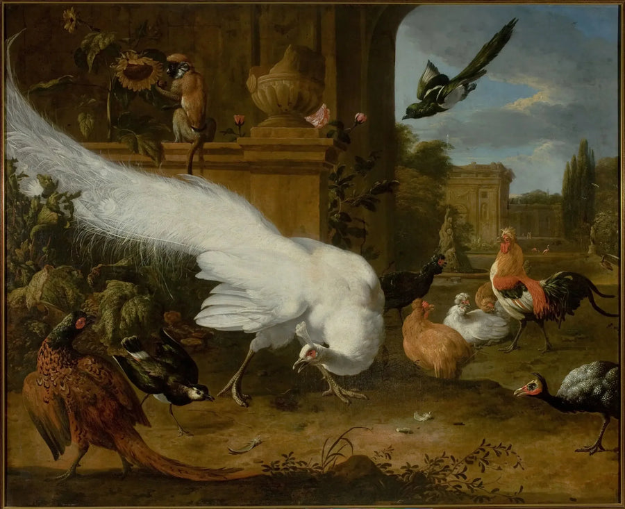 Fjerkræ og en hvid påfugl - Melchior de Hondecoeter