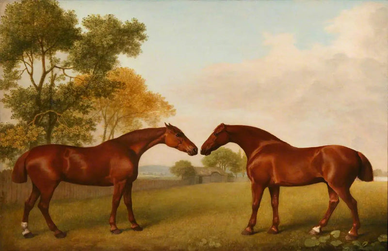 To heste i en indhegning - George Stubbs