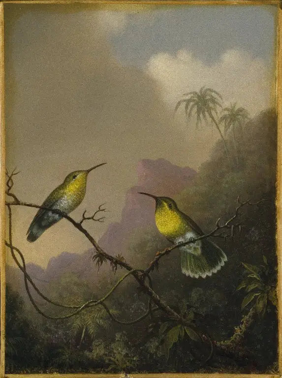 To kolibrier: amazili med kobberfarvet hale - Martin Johnson Heade