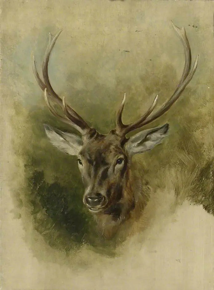 Deux études de tête de cerf (recto) - Edwin Henry Landseer - Alpha Reproduction