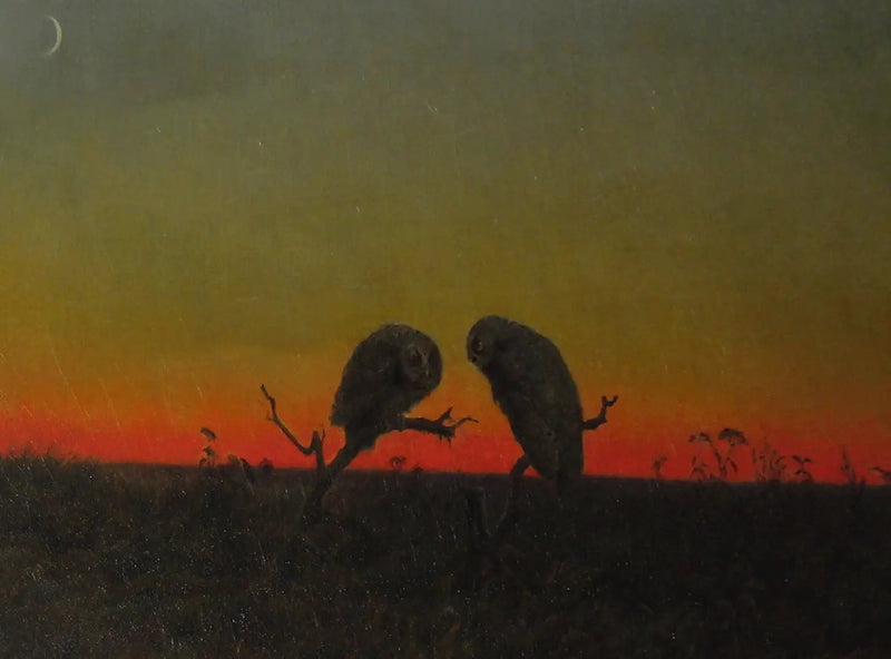 To ugler ved solnedgang - Martin Johnson Heade