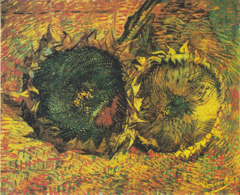 To afskårne solsikker - Vincent van Gogh