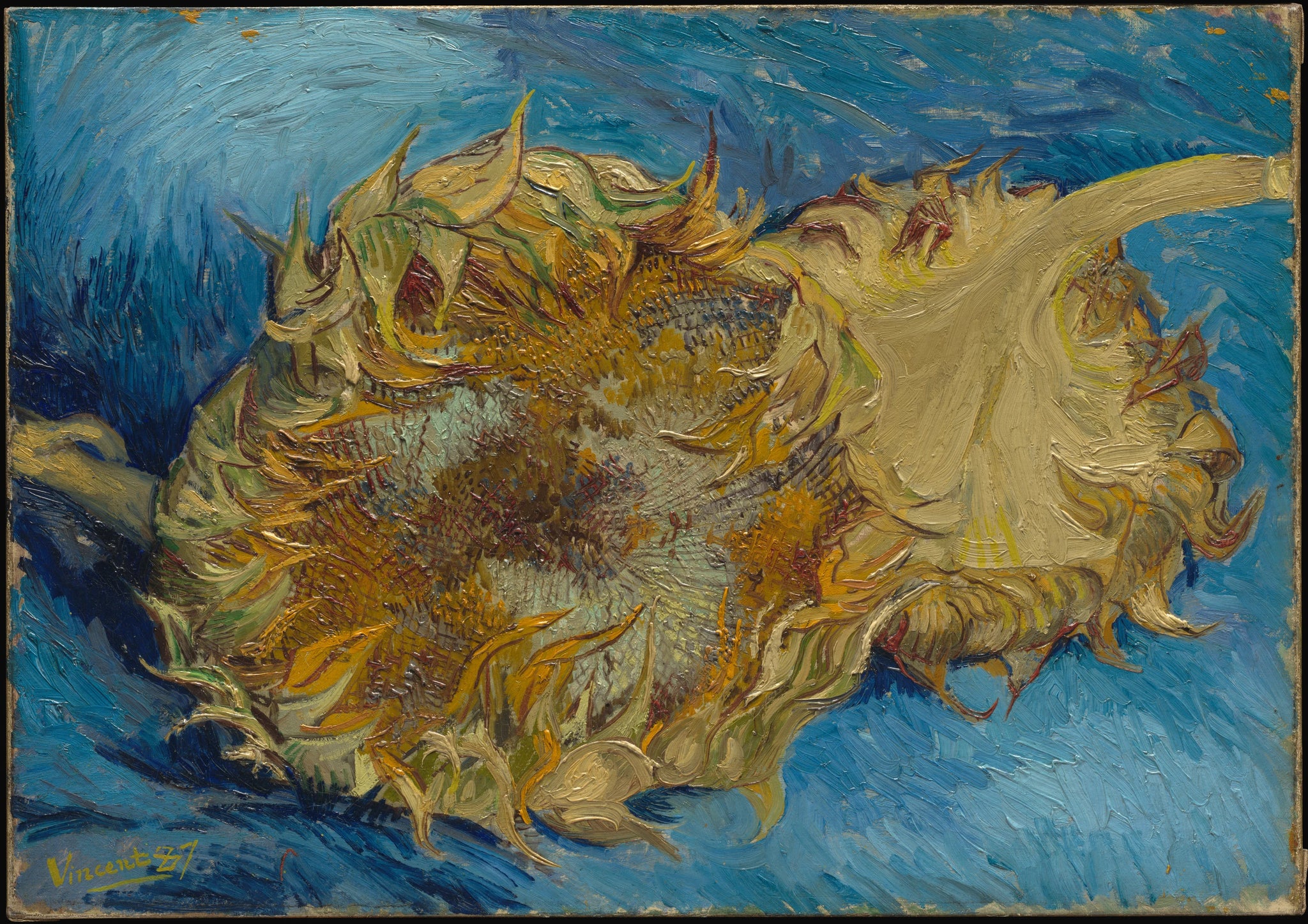 Deux Tournesols, F375 — deux capitules coupés sur un fond bleu peints par Vincent van Gogh
