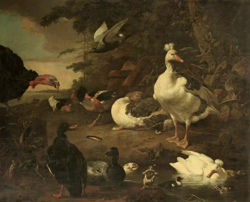 And, gæs, Belon-and og andre fjerkræ, i et landskab med en bæk - Melchior de Hondecoeter