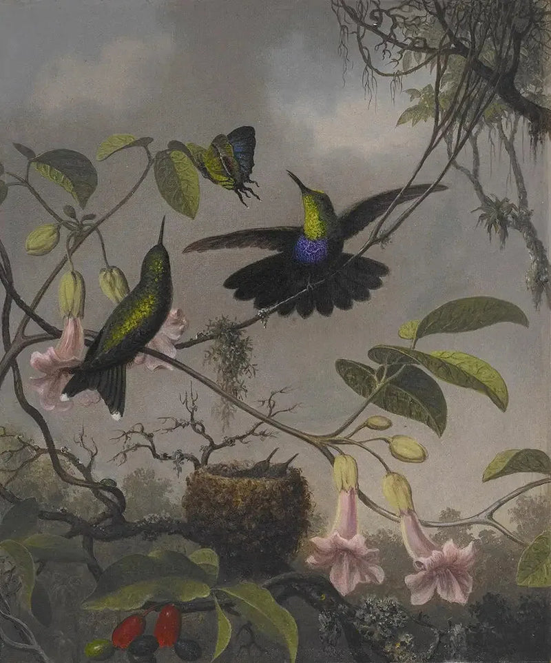Dryade med forgrenet hale - Martin Johnson Heade