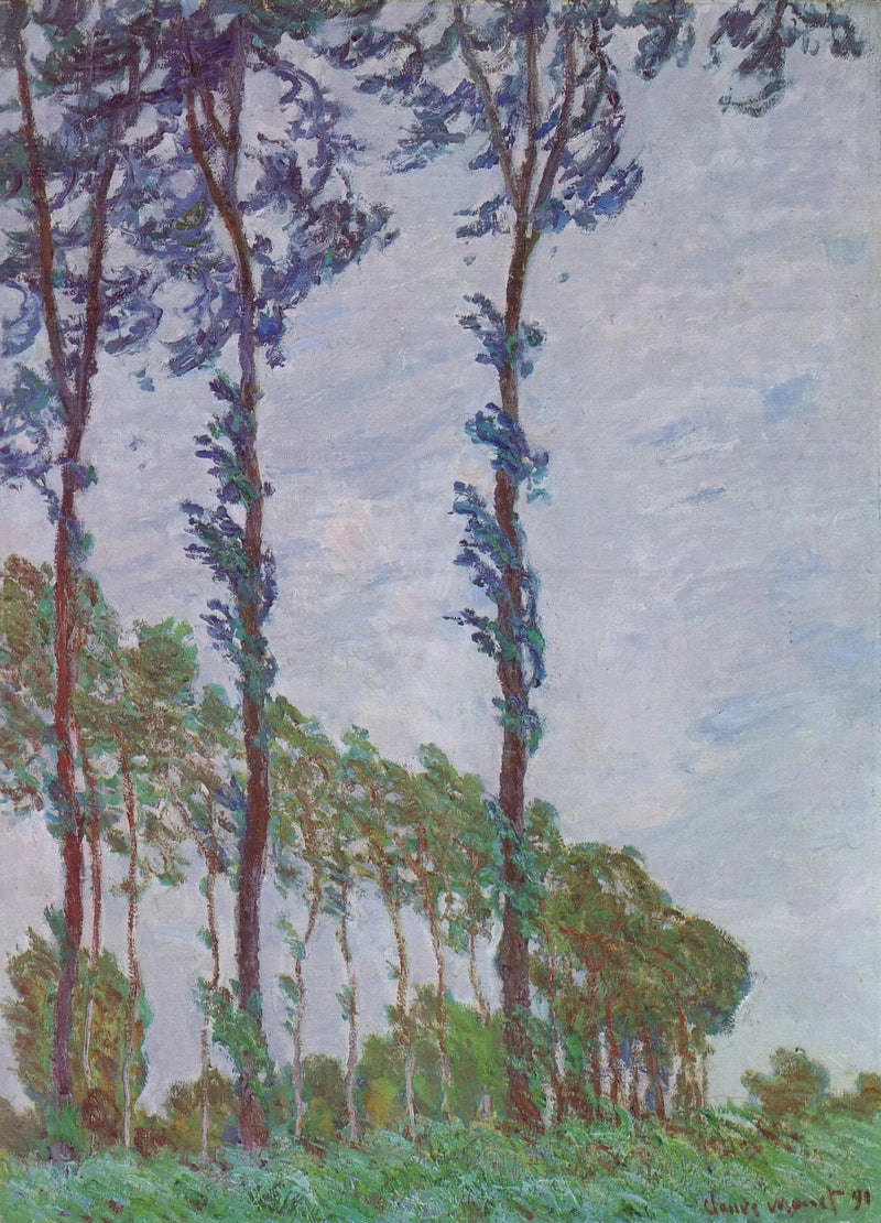 Vindeffekt, poppelserie - Claude Monet