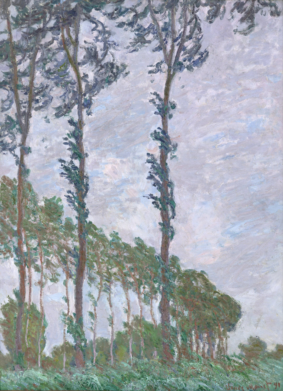 Vindeffekt, poppelserie - Claude Monet