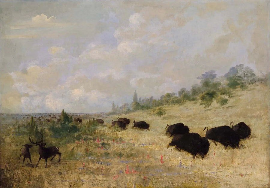 Élans og bisoner græsende blandt blomsterne på en eng, Texas - George Catlin
