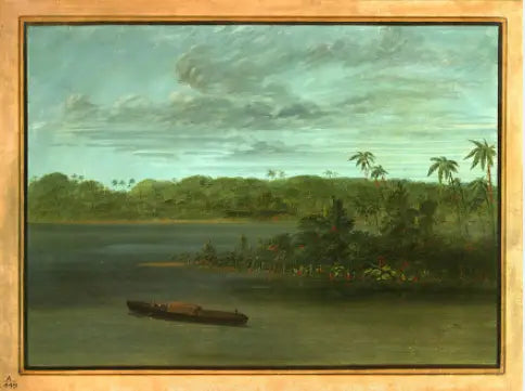 Embouchure du Rio Purus - George Catlin