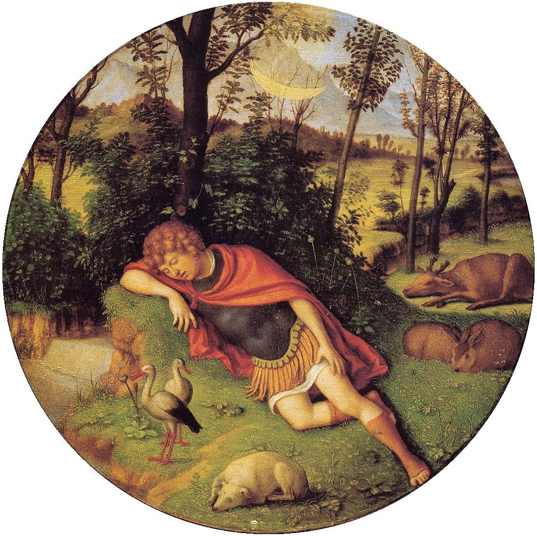 Endymion dormant - Cima da Conegliano - Alpha Reproduction