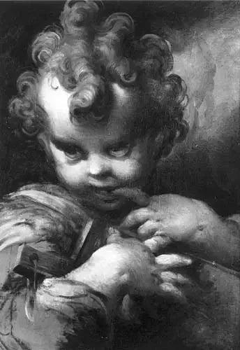 Børne Sankt Johannes - Parmigianino