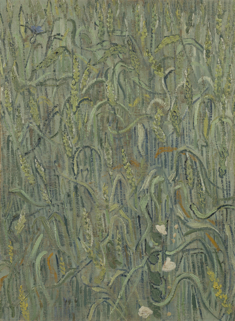 Hvedekorn - Vincent van Gogh