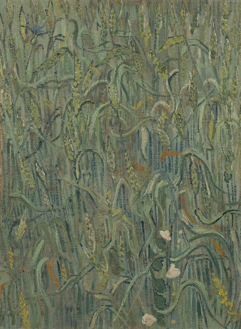 Hvedekorn - Vincent van Gogh