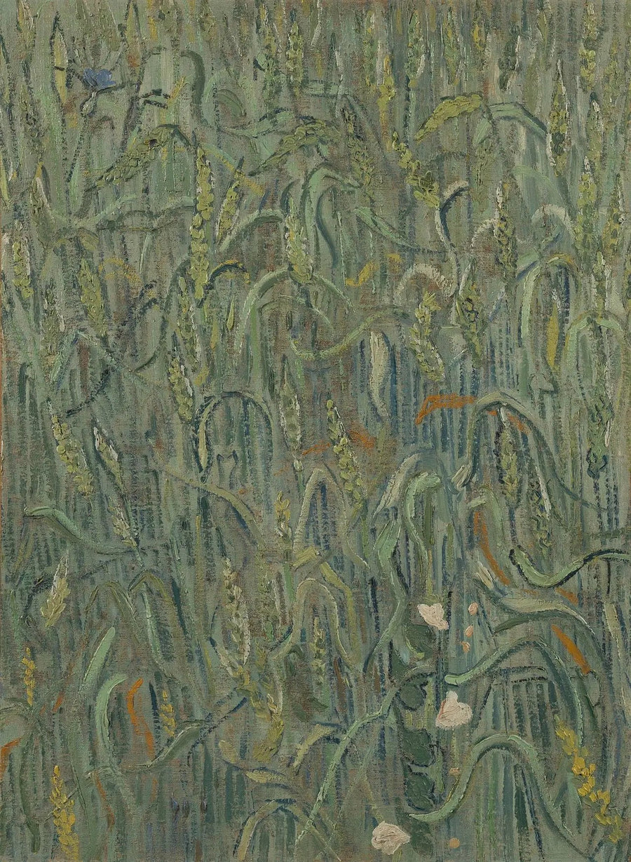 Hvedekorn - Vincent van Gogh