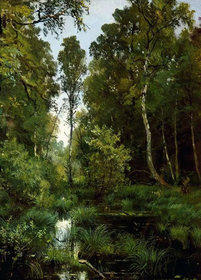 Vandspejl overgroet af vegetation ved skovbrynet. Siverskaya - Ivan Chichkine