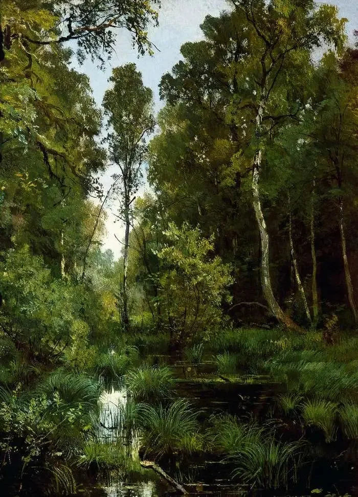Vandspejl overgroet af vegetation ved skovbrynet. Siverskaya - Ivan Chichkine