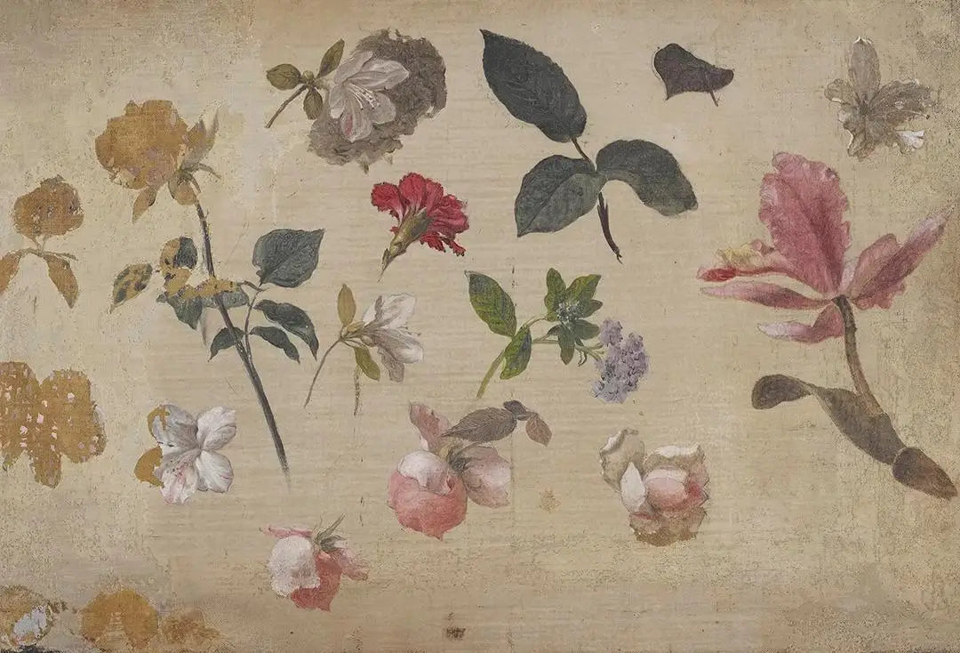 Étude de roses roses de feuilles d’héliotrope d’un œillet et d’une orchidée - Martin Johnson Heade - Alpha Reproduction