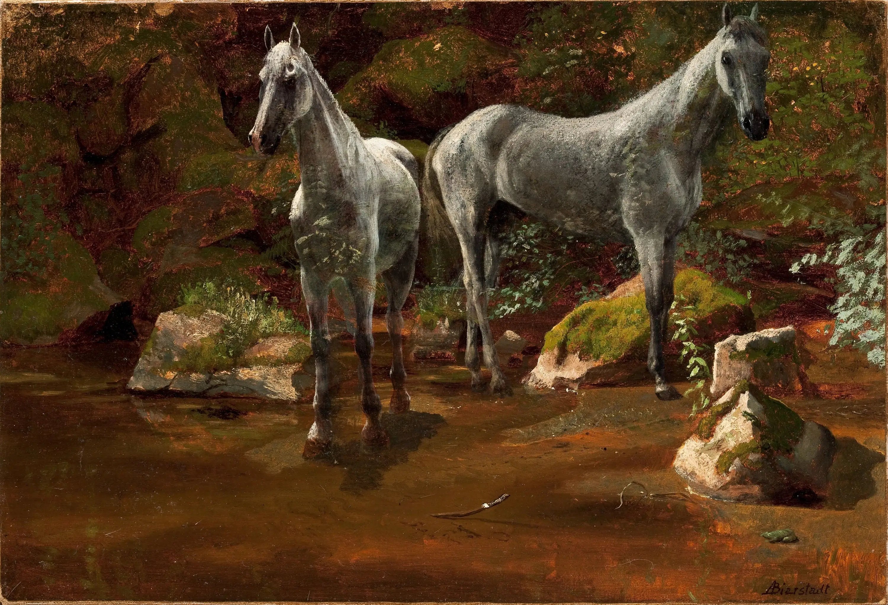 Étude des chevaux sauvages - Albert Bierstadt - Alpha Reproduction