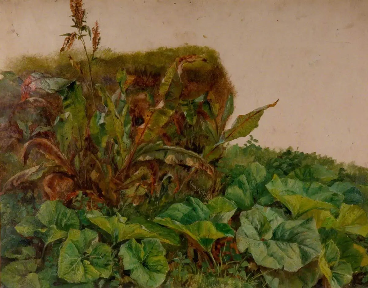 Étude des plantes de bord de route - Edwin Henry Landseer - Alpha Reproduction