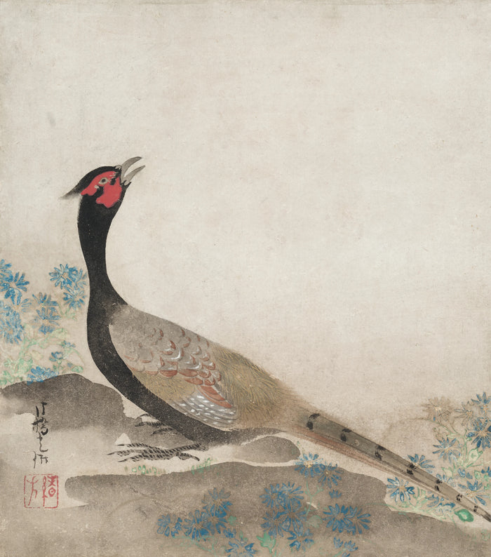 Faisan - Ogata Kōrin