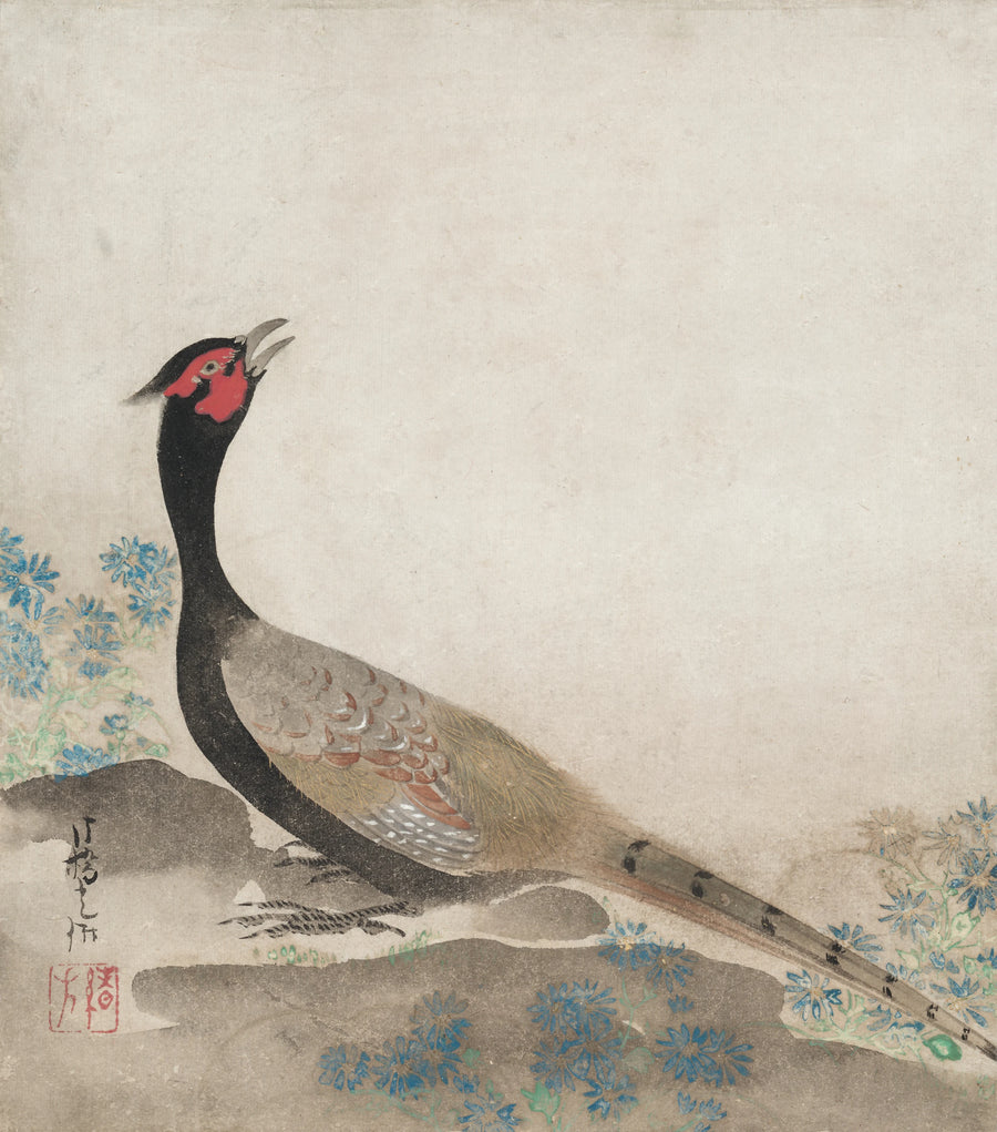 Faisan - Ogata Kōrin