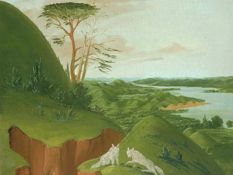 Flodklipper med hvide ulve i forgrunden, Haut-Missouri - George Catlin