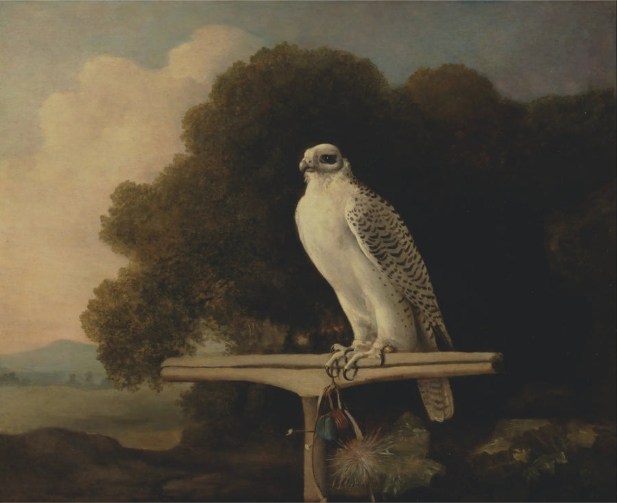Grønlandshøg - George Stubbs