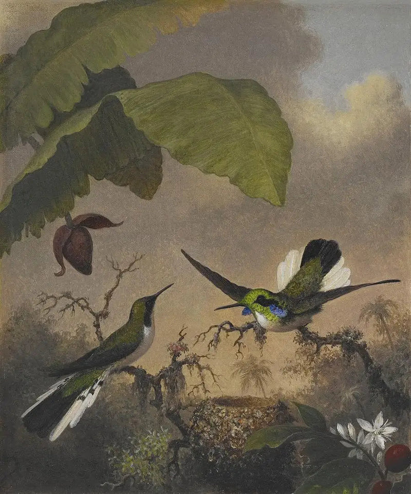 Fe Med Sorte Ører - Martin Johnson Heade