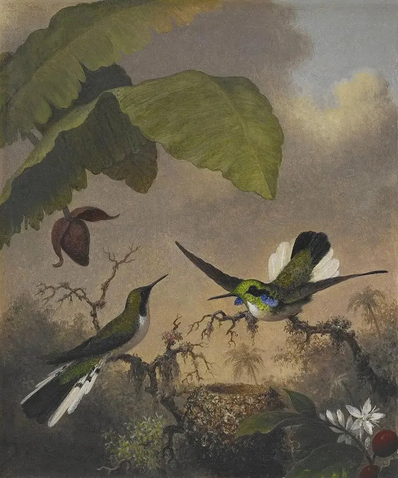 Fe Med Sorte Ører - Martin Johnson Heade
