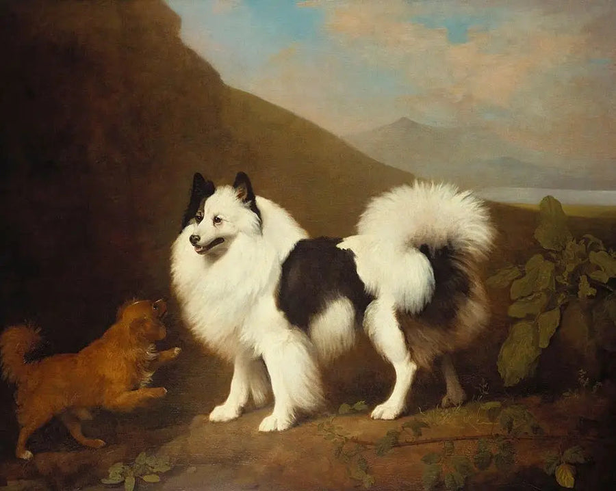 Fino og Tiny - George Stubbs