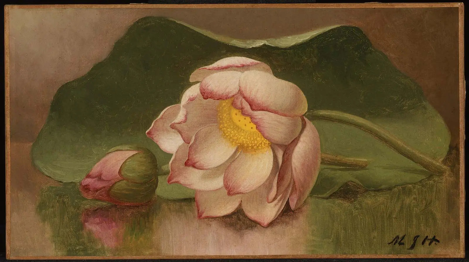 Fleur de lotus - Martin Johnson Heade - Alpha Reproduction