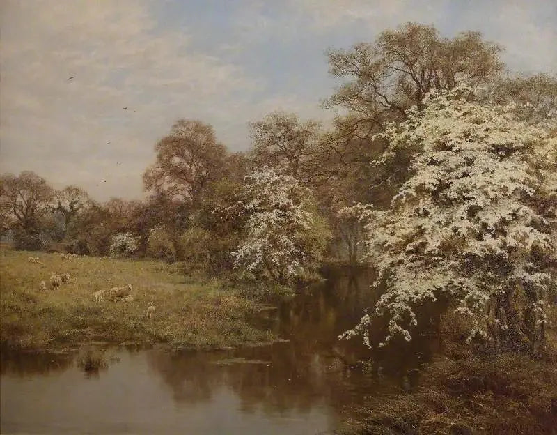 Hyldeblomster - Edward Wilkins Waite