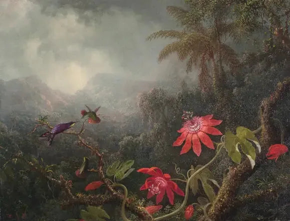 Passionblomster og Tre Kolibrier - Martin Johnson Heade