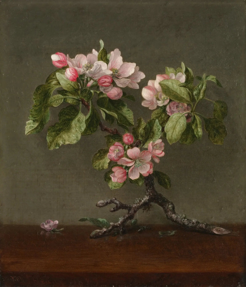 Æbleblomster - Martin Johnson Heade