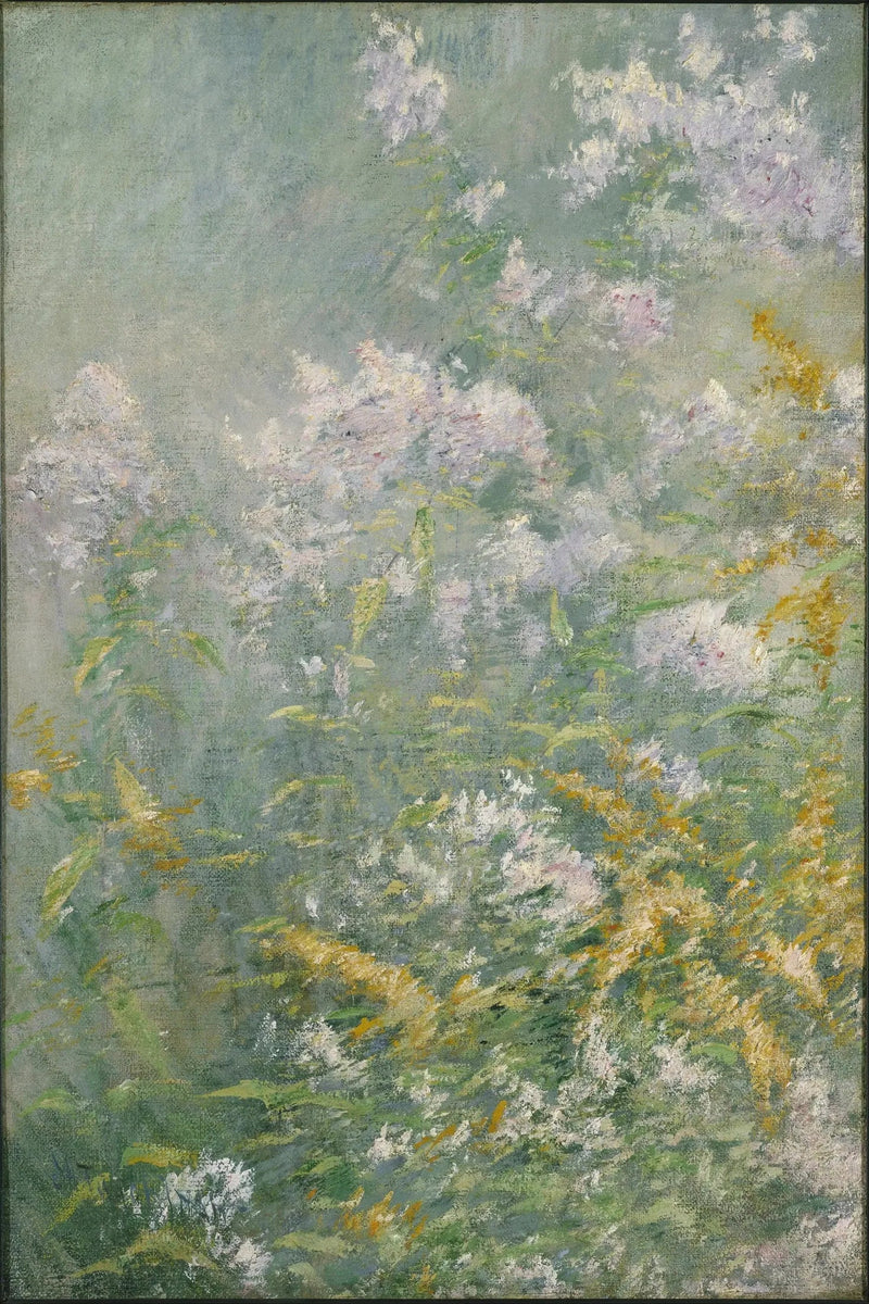 Engblomster (Guldfly og Vild Aster) - John Henry Twachtman