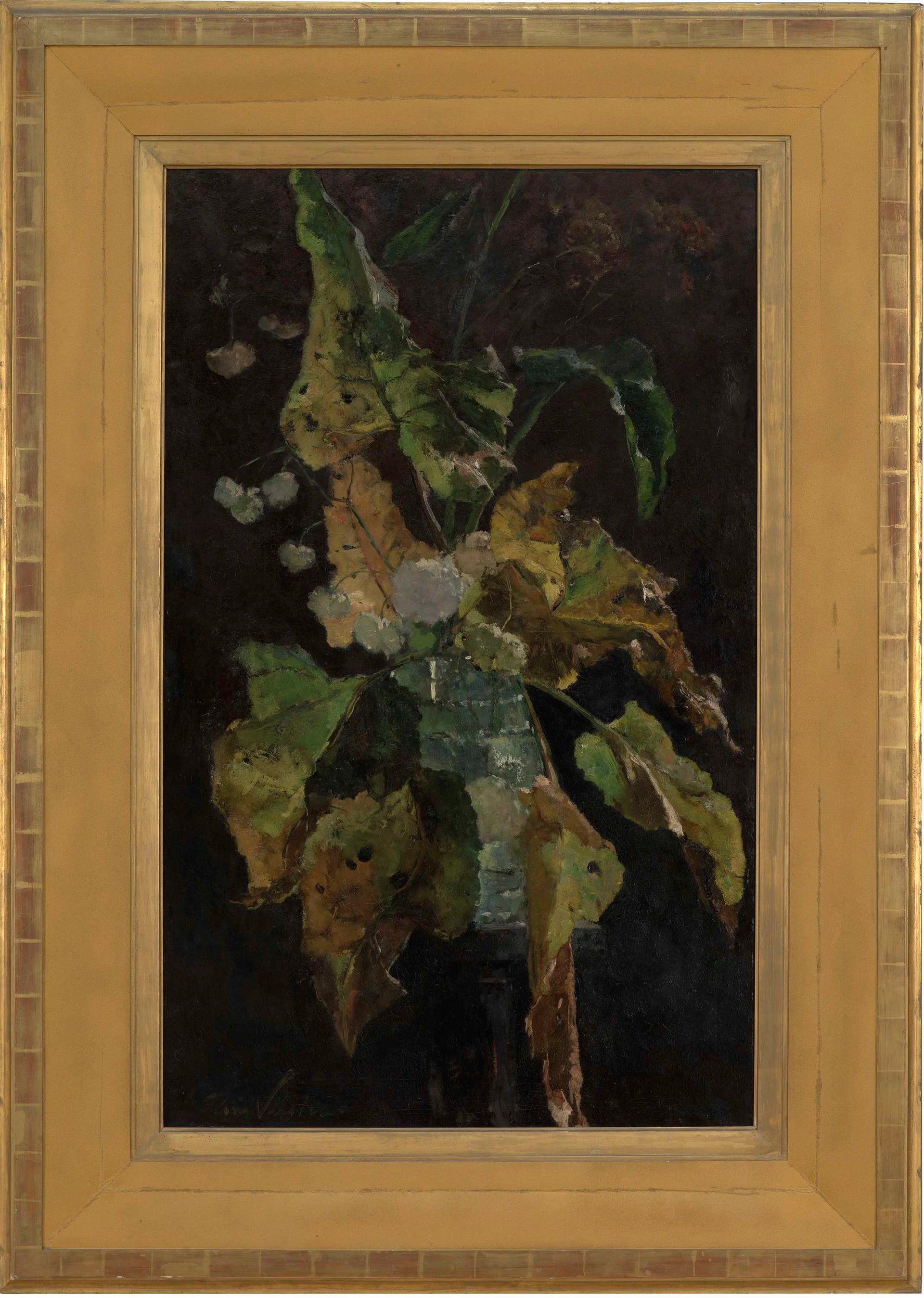 Fleurs et feuilles - Floris Verster