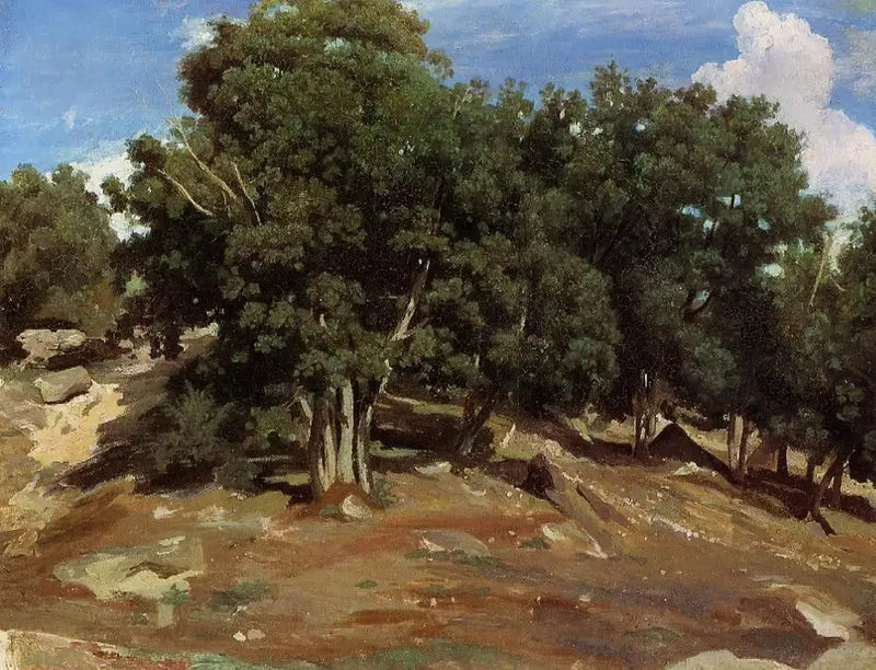 Fontainebleau – Bas-Préau sorte egetræer - Jean-Baptiste Camille Corot