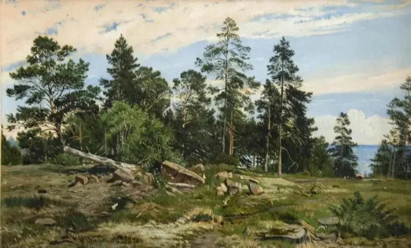 Skov ved havkanten - Ivan Chichkine