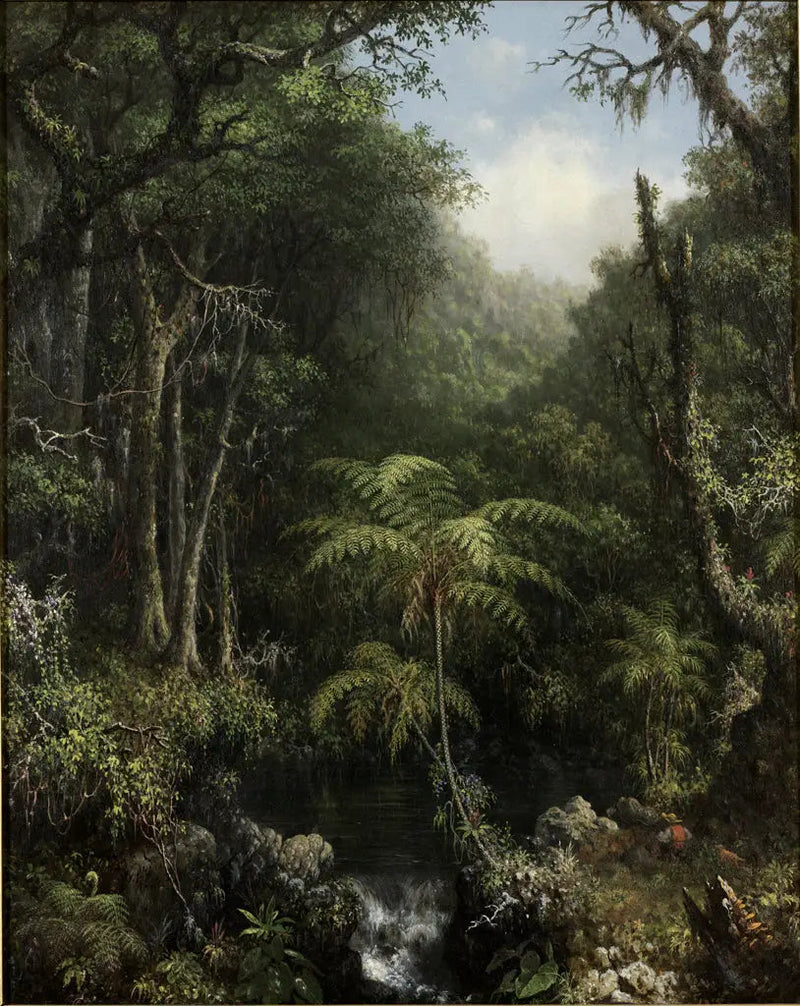 Brasiliansk skov - Martin Johnson Heade