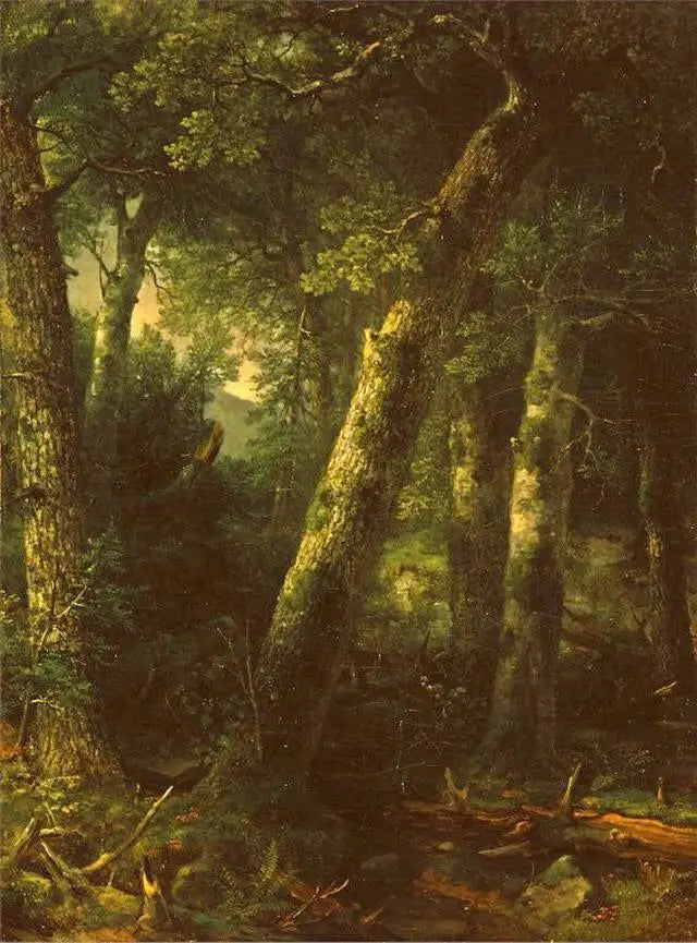 Skov i morgenlyset - Asher Brown Durand