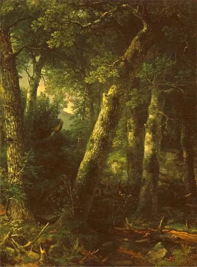 Skov i morgenlyset - Asher Brown Durand