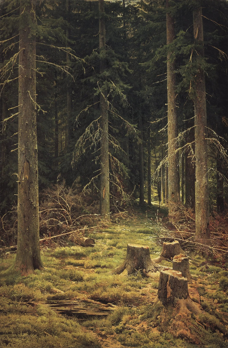 Skov af nåletræer - Ivan Chichkine