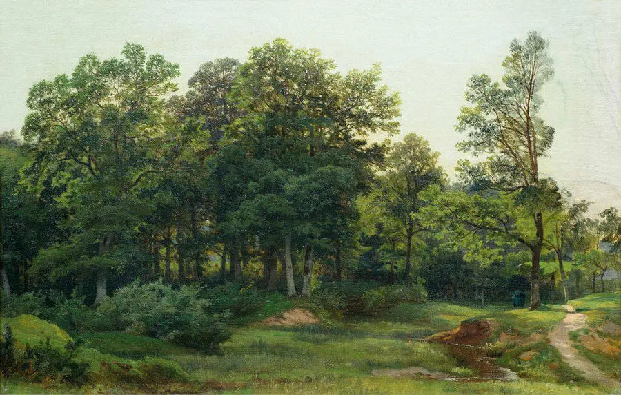 Bøgeskov - Ivan Chichkine
