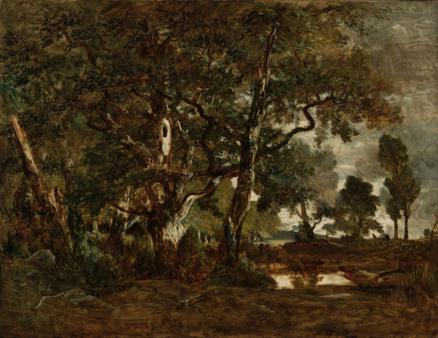 Forêt de Fontainebleau, bosquet de grands arbres dominant la plaine de Clair-Bois à la limite du Bas-Bréau - Théodore Rousseau