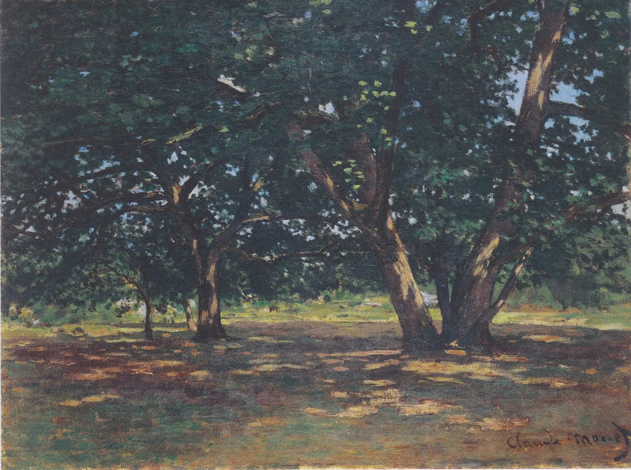 Fontainebleau-skoven - Claude Monet